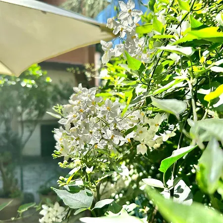 Limone * 산레모